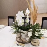 Drewniane plastry szlifowane, olejowane mix śr. poniżej 25 cm